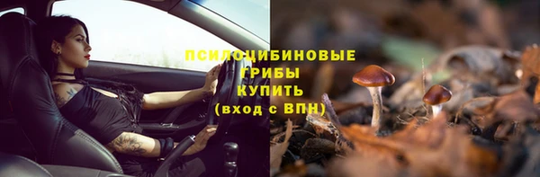 прущая мука Абаза