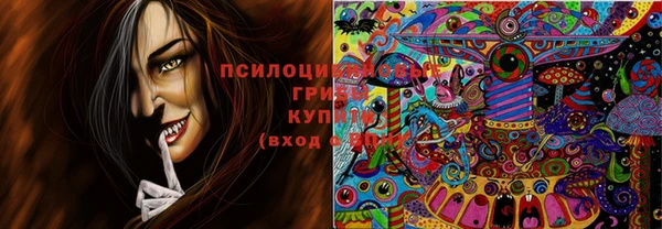 прущая мука Абаза