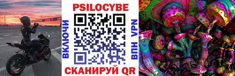 Псилоцибиновые грибы Psilocybine cubensis  Нахабино 